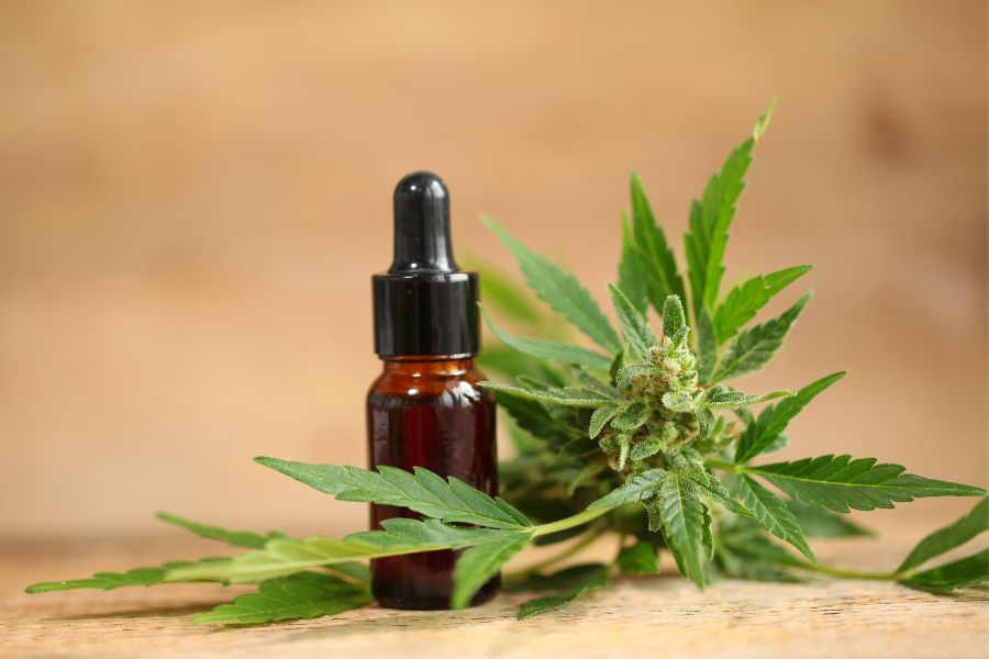 cbd oil vegan ingredients